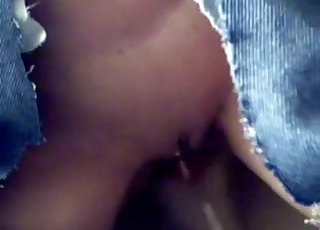 Slick pussy zoophile rides that dick