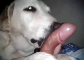 Licking
