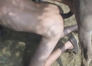 Anal